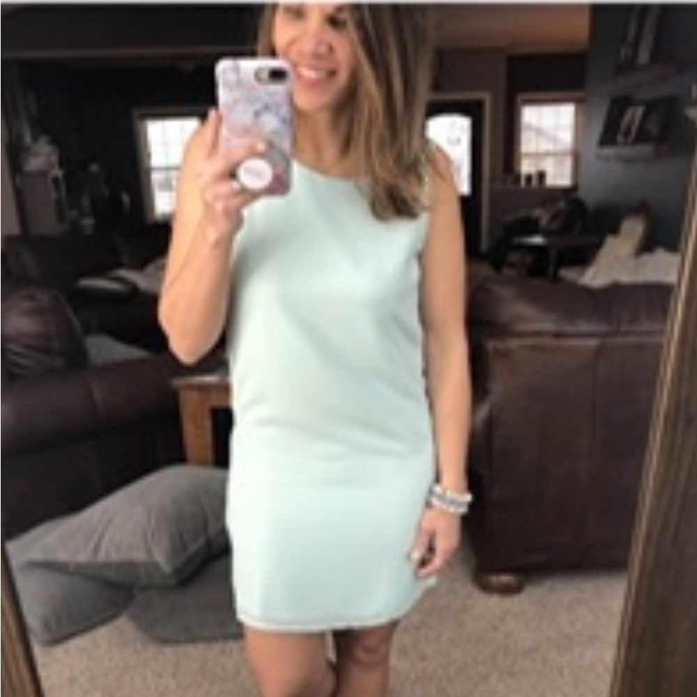 Naked zebra mint dress